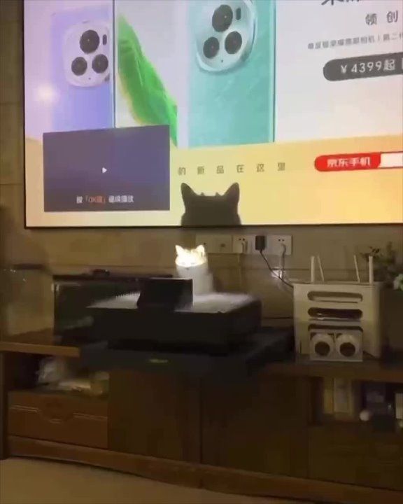 � �� ��� �� �����. �������������� ��