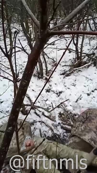 � ���� �������� �������� ����������, � ������� �������������� ��� ������� ����� ����������