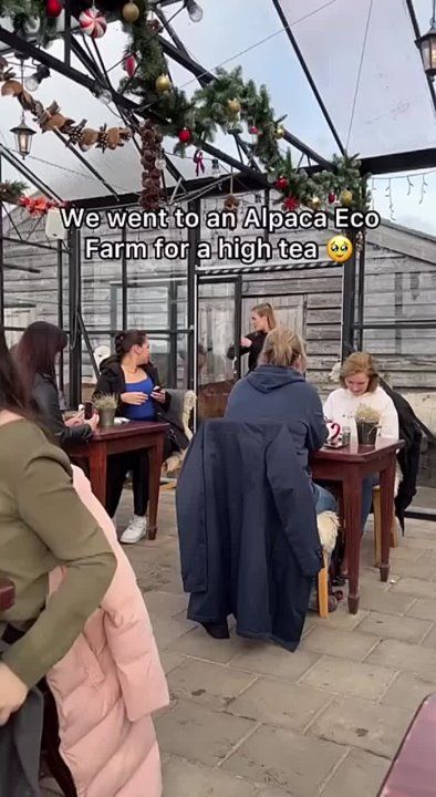 ������ ���� ����� ������������ ����� ������ ������� ������: ��� �������� ���� �� ����� ������