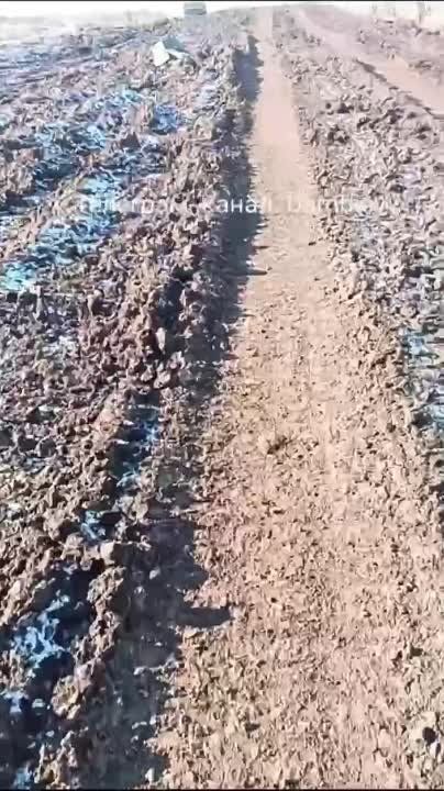 ���� ����� ������� ���������� �������� ������� � ����������� �������