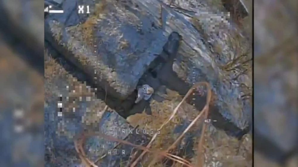 ������ FPV-����� ���������� ���������� ����� ���� ����������