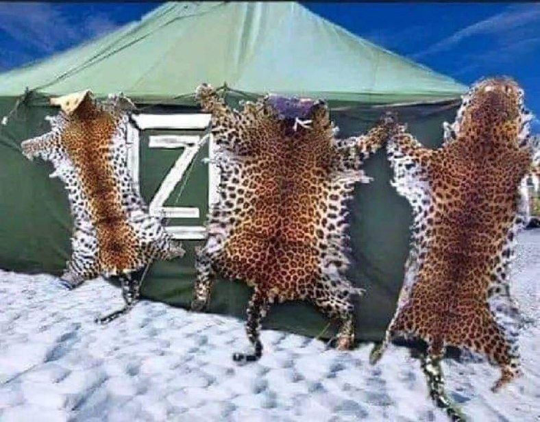 ������ �������: 2024 ��� :)