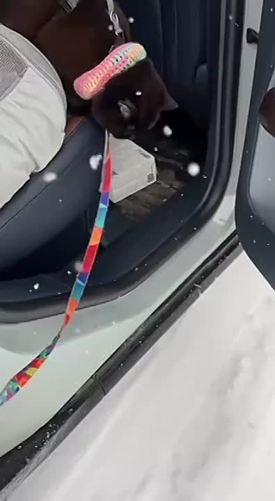 ������ ���, ����� � ������� ���� �������