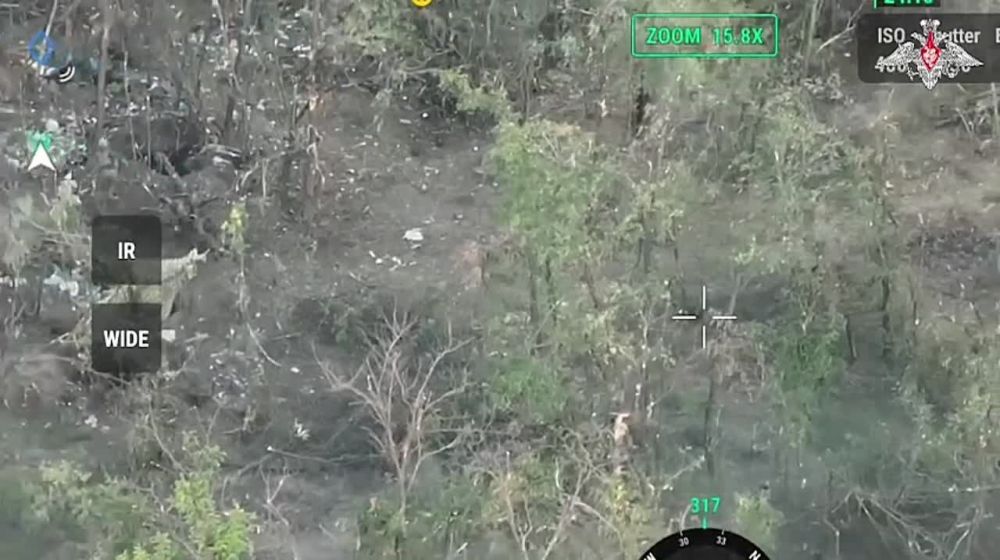 ���������� ����������� ����� ������� ��������� ����� ������� ������� ��� �� ����������� �����������