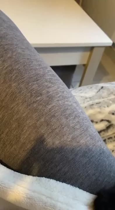 ������ ����, ������� ������!