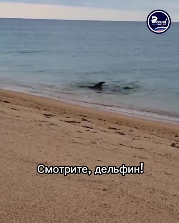 � ������������� ���� ������� ����������� ��� ��������������� �� ����� ���������