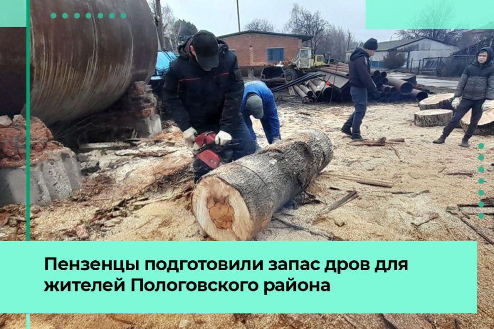 Шефы из Пензы приготовили запас дров для жителей Пологовского района