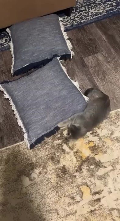 ������� �������. �������������� ��