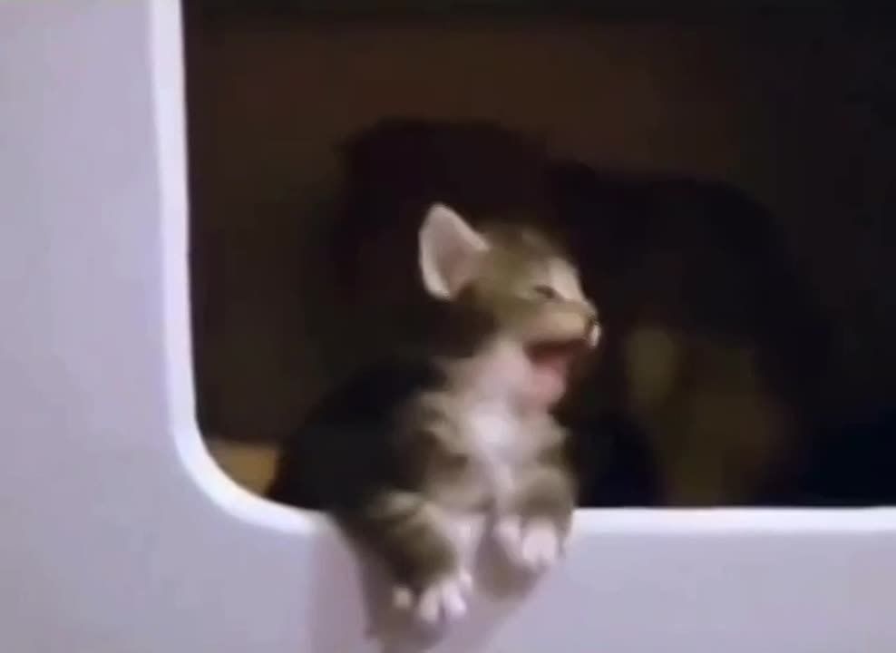 ��� ��� ���������. �������������� ��