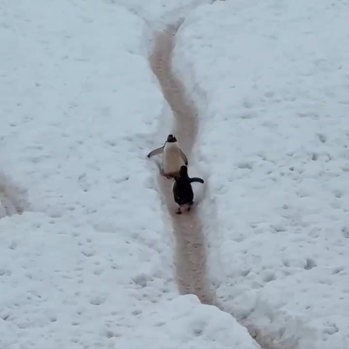 ��� � �������� ��������� ���� �� ��������� �� ����� �� ���� ����������