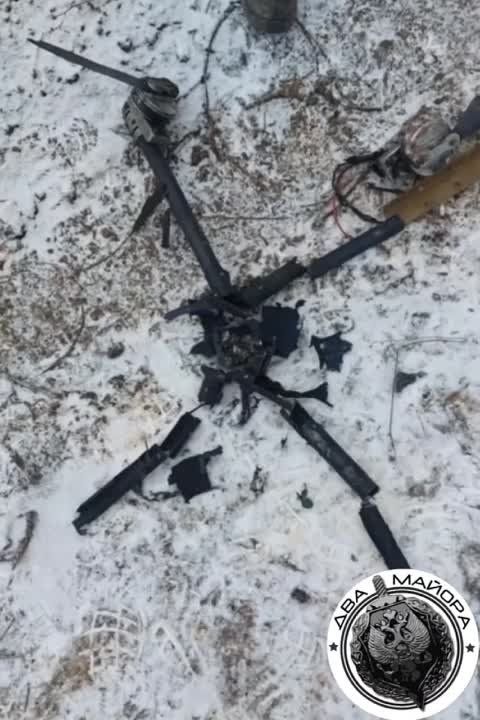 ��� ������: ����������� �����. ���������� ���������� ��������� ������ ����-���. ��� ��� �����