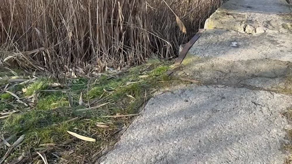 �������, 30 ������ 2024 ����, ������� ���������� ��������� ���������� ������ ����������� ����� � ������� ������� ����������