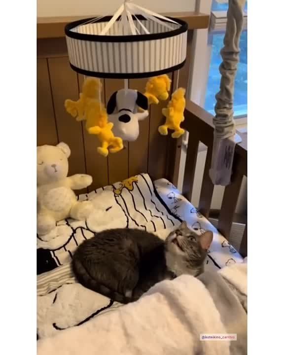 ������� �������. ��� ������? ������� � ����� ������� ����