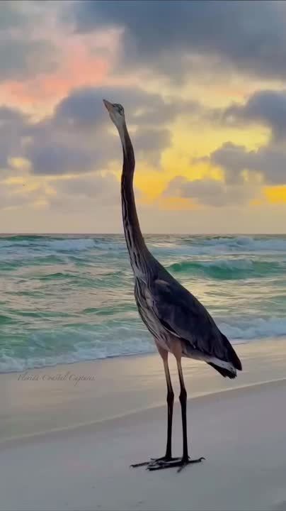 ������� ������� �����. �������������� �� ����� ���� � ������� � ��������� ������ - �� ����������� ����� �� ������������ �������