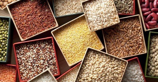 Премьер-министр Михаил Мишустин подписал постановление о временном ограничении на ввоз отдельных видов семян из недружественных стран