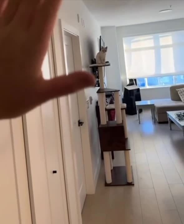 ����� ��� ��� �� ���� ������