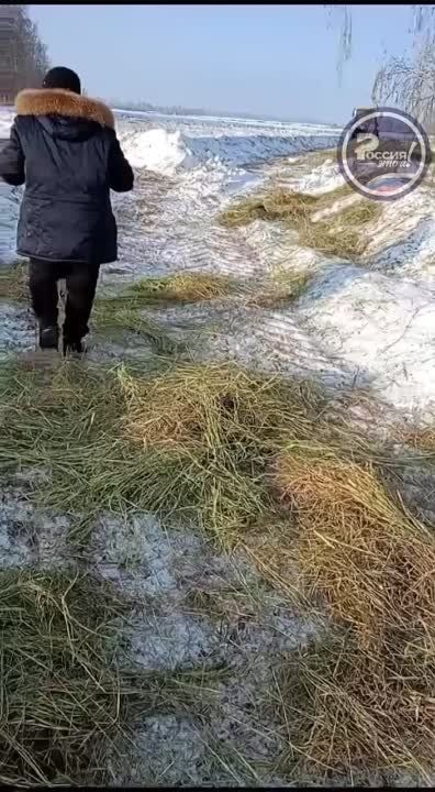 �������� ��� � ������ ��������� ������ �� ������ ������ ������