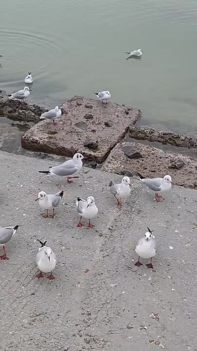 ���� � ���� �� ��������