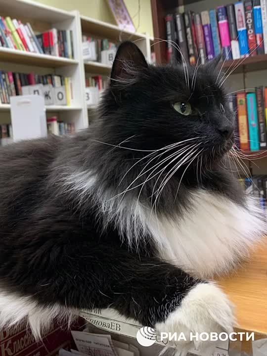 ����� ������� � "�����������" ���� - �� ���� ��� � ������