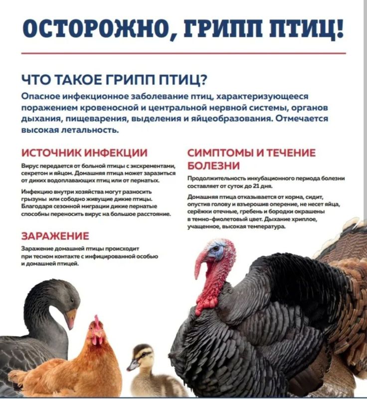 ������������ �� ������������ ������ ����
