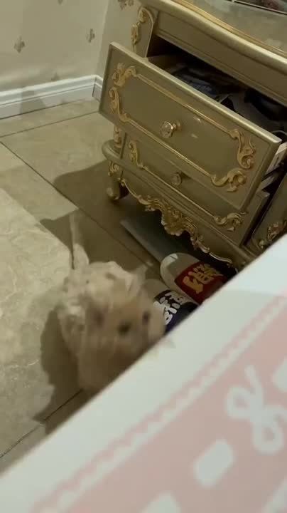 ��� �������� ������ ������ ������� � �������� �������
