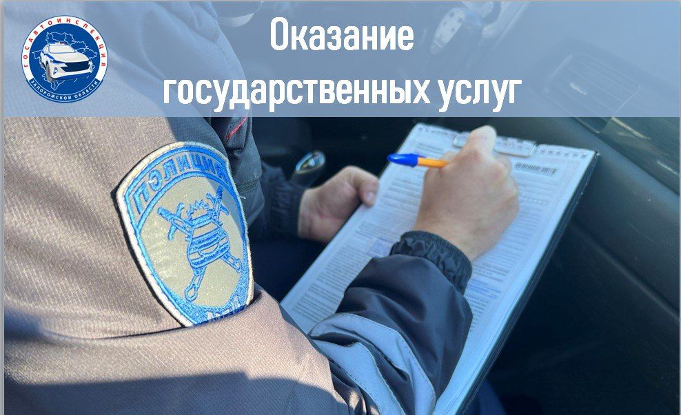 ����� ���������������� ���������� ��� ������ "��������������" �����������: