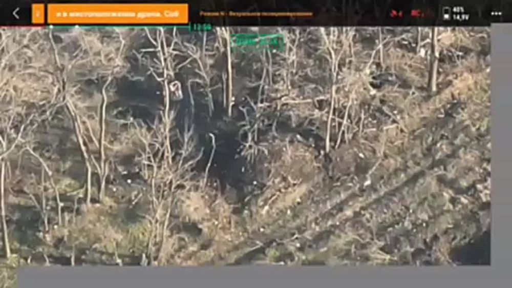 ������� �������: ��������� ������ � ���� �����, �� � ���� �����-����������� 10-�� ����� � ����� �� ��������