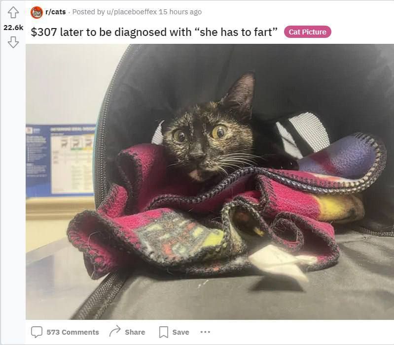 ��� ���������� �� ���� ��������� ������ ������� ������