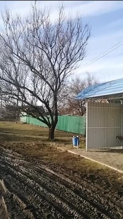 В Пологах общественные пространства благоустроят при содействии Пензенской области