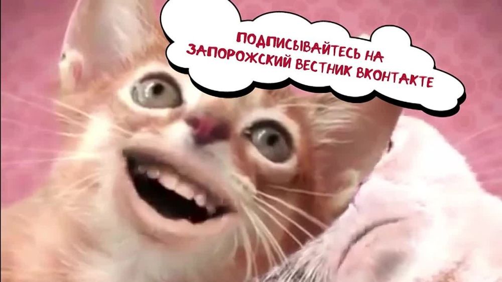 ��������������� � ���������� ������������ �������� � ��