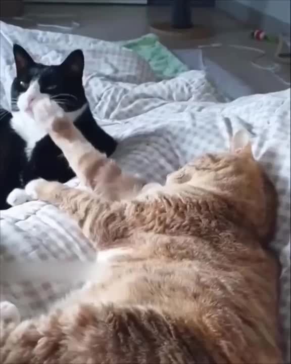 ������, ������ ����! �� ����� ������� ���� �����