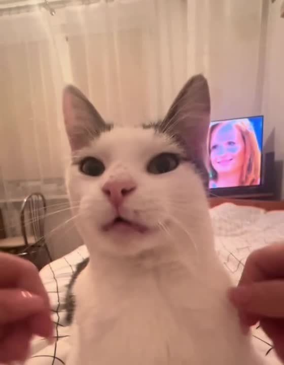 ���� ��� ���� �� �������