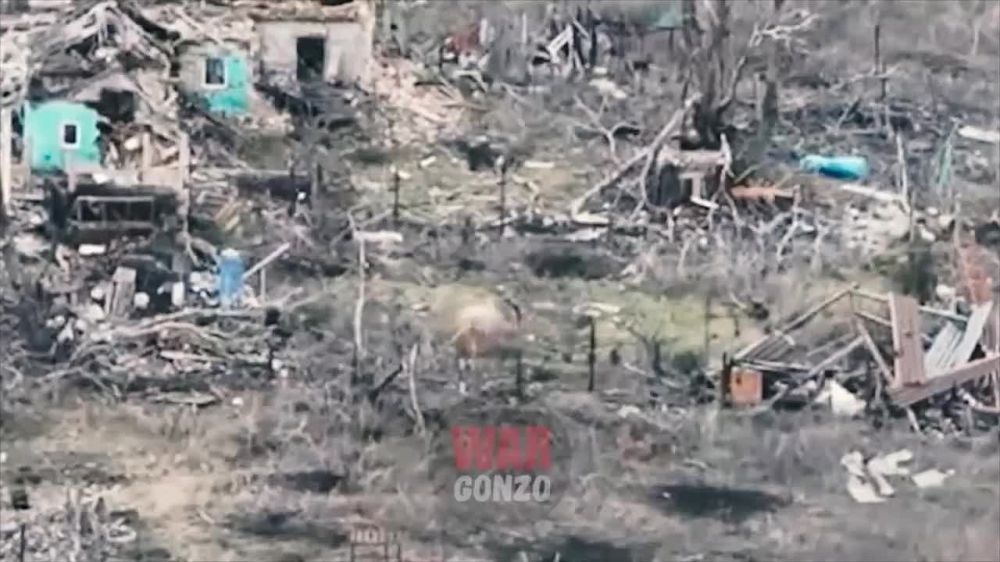 ���� 9-� ������� ����� FPV-���� ���������