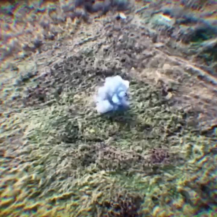 ������ �� ��������� � ����������� ����� ������ �� ��������� � ���������� �����