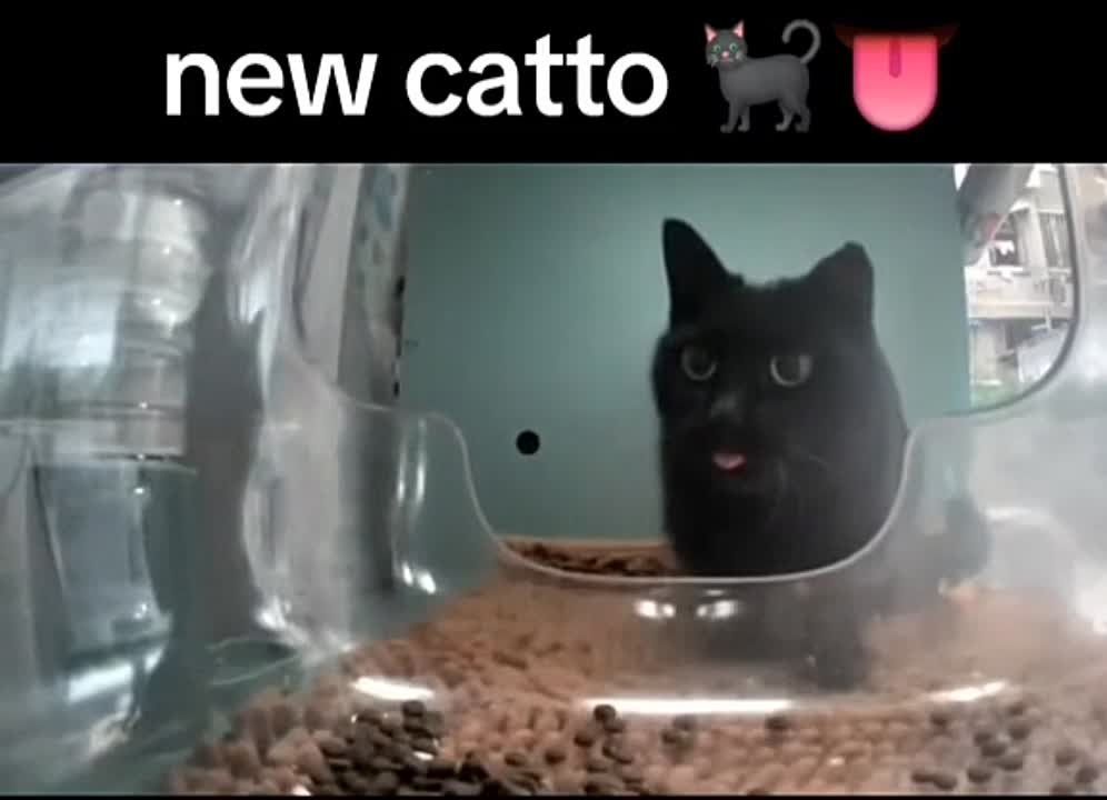 ����! ��������� ��������!