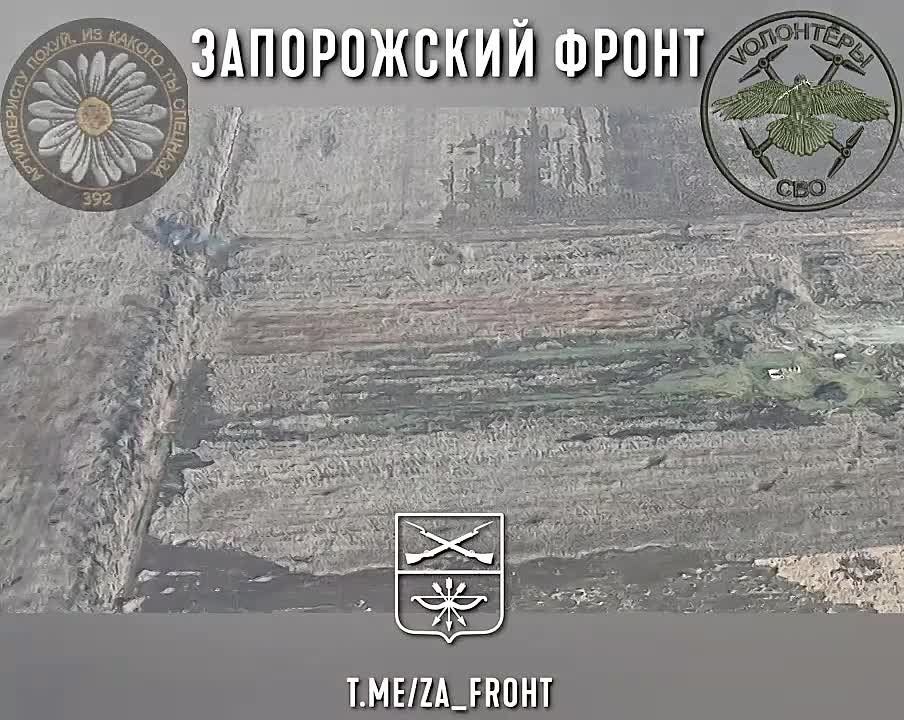 �������������� 392 ����� ���������� ������ ��� � ������ �.�. ��������� �� ����������� �����������