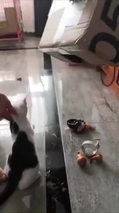 ��� �� �� ���� ������ ����������� ������