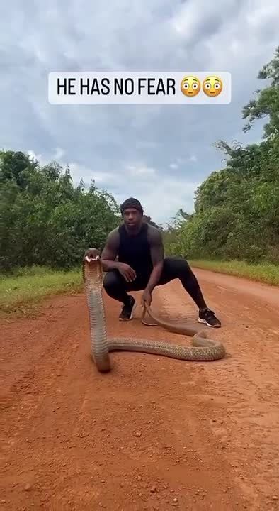 ����������� �����