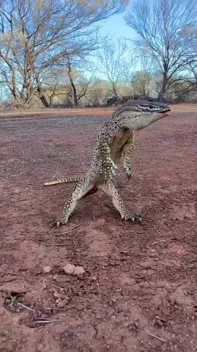 ������� ������� �� ��������� �������