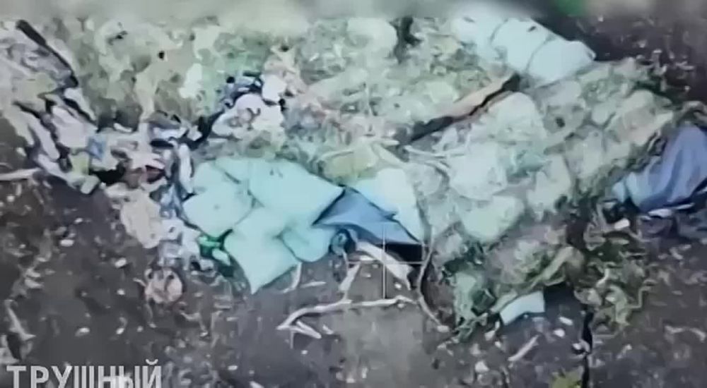 FPV-���� ����� ������� � ������� � ���������