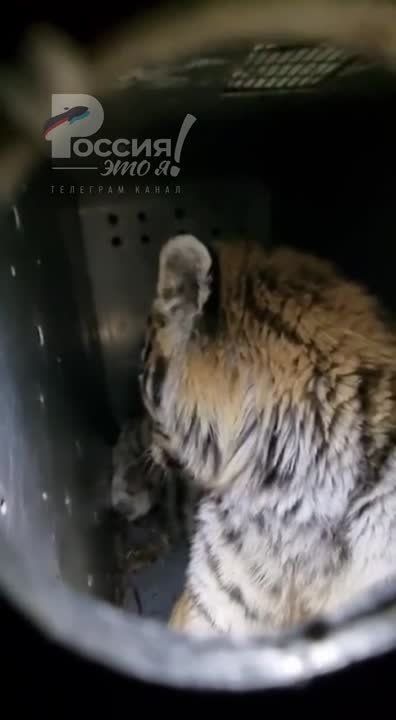 � �������� ������� �������� ��������� ����� � ������� �� ������ �����������