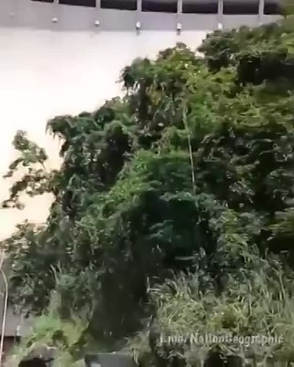��������� ����� ���� �� �����