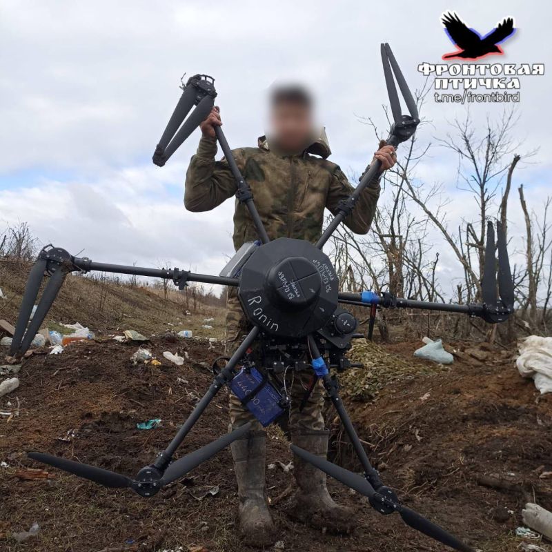 ����� �����: ���������� ��������� ��������� "����-���" ����������