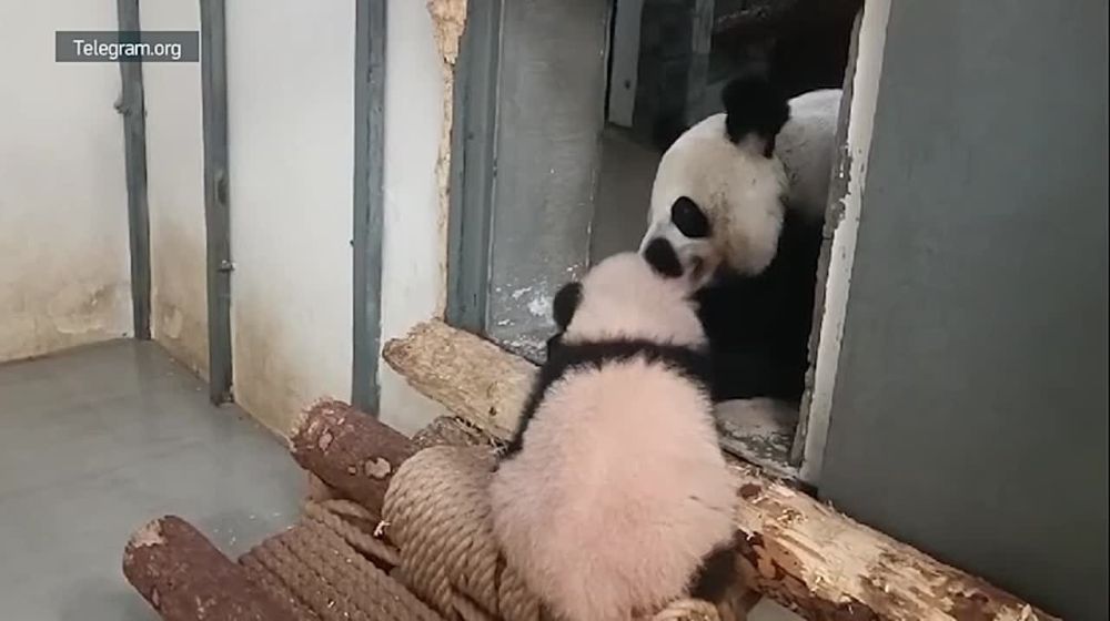 ������ ���: �������������� ������� ��������� �������� ������