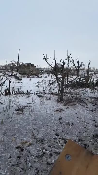 ����� �����: ����� �� ������� ����������