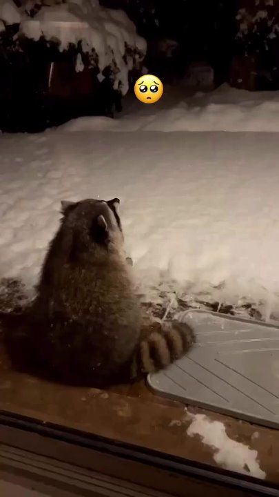 � ����� ������������ ��������� �����, �������������� �������� ����� ������ �� ��������� ����� ������ �����