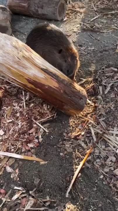 ��������� �������� ���� � ����� ��������� ������, ��� ���������� ��������� ������ ���������, ����� ������� ����. ������...