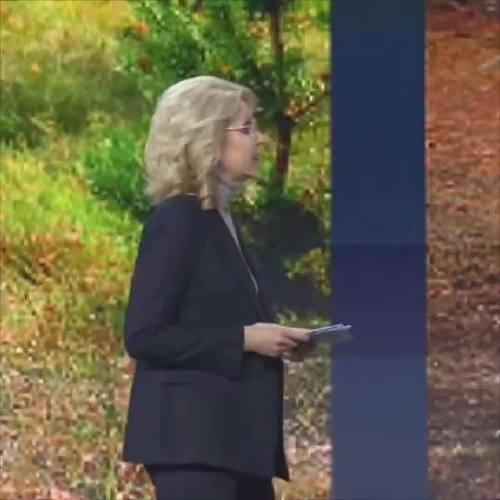 ��������������� ��������� ����� � �����������