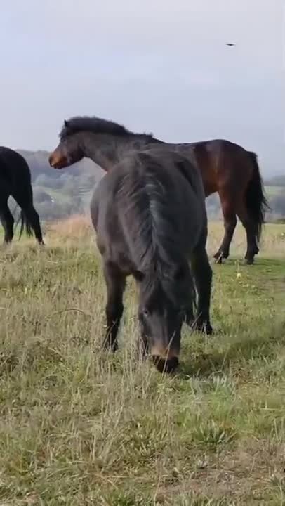 �������������� ����������� ��������� � ����� ����������� ���� �������, ���� �� ������� ��� ����