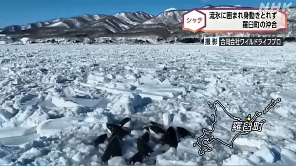 �������� ����� �� ����� �������, ���������� �� ����� � ������ ��������, �� ����